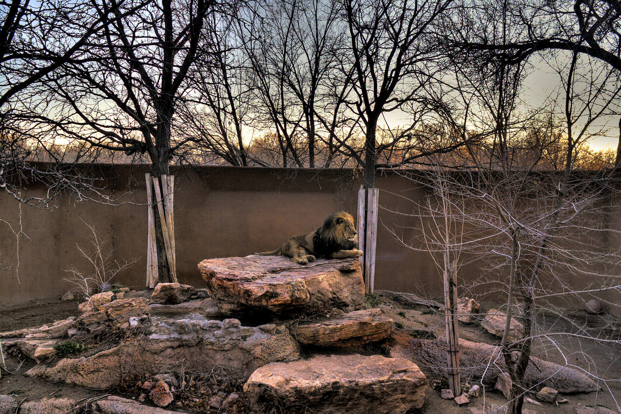 Western Rio Grande Albuquerque